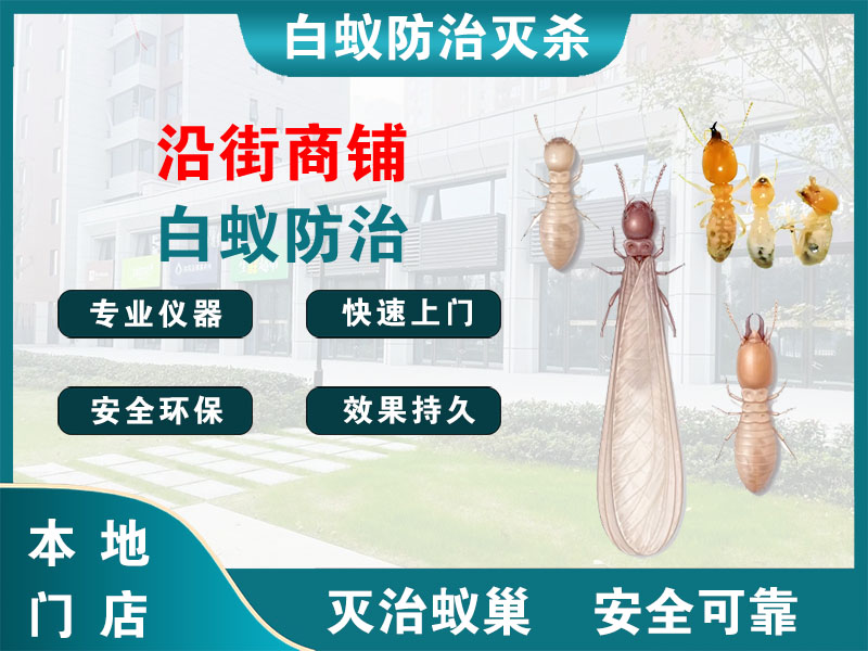 青浦沿街商铺白蚁防治