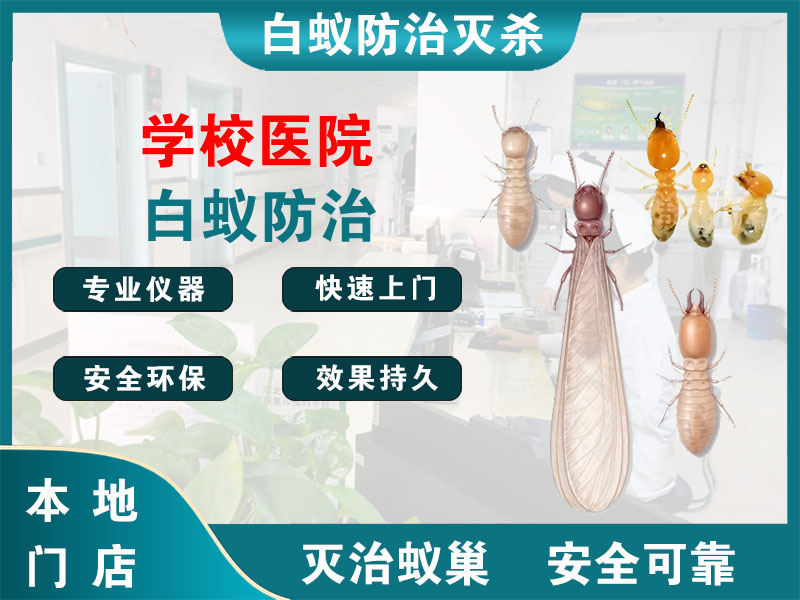 青浦学校医院白蚁防治