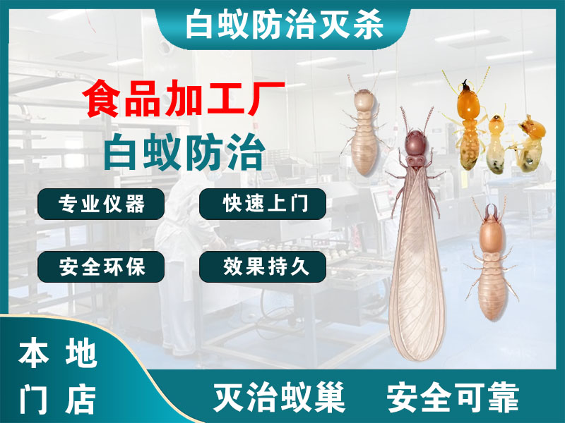 青浦食品加工厂白蚁防治