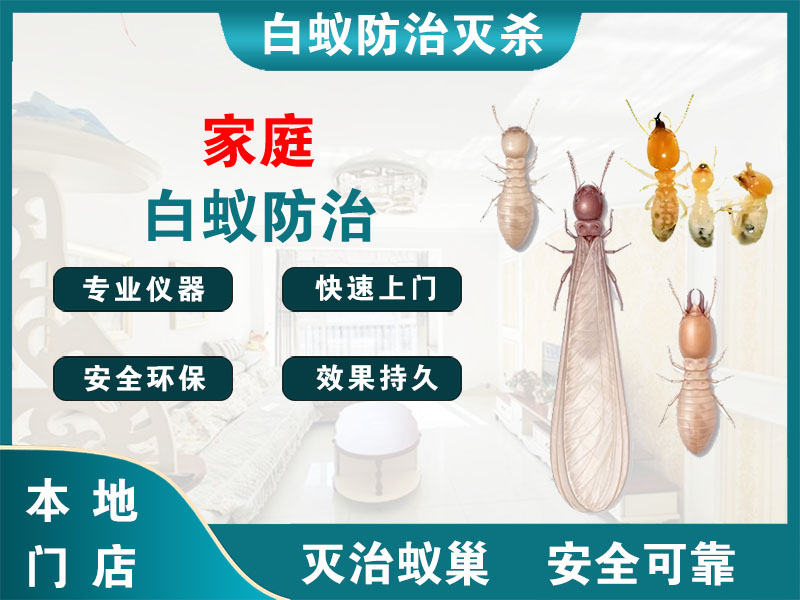 青浦家庭白蚁防治