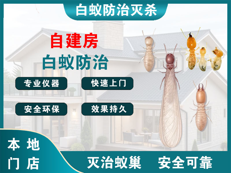 青浦自建房白蚁防治