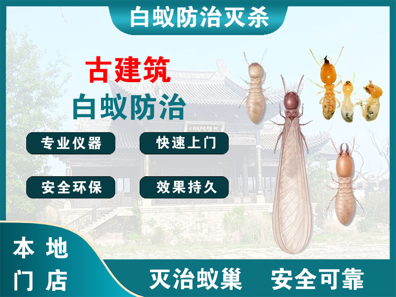 青浦古建筑白蚁防治