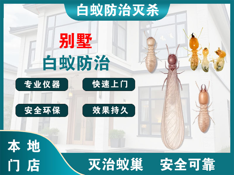 青浦别墅白蚁防治